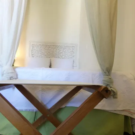 Sophie's Nest